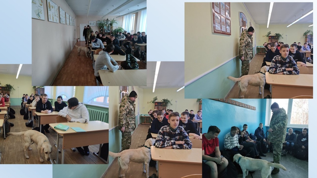 С собачкой осмотр.jpg С собачкой осмотр.jpg